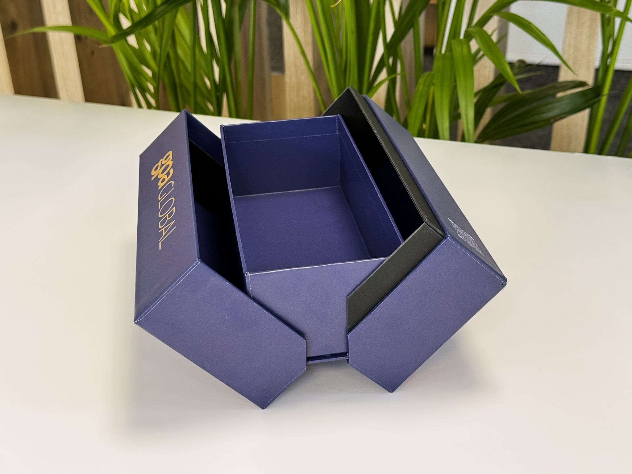 GPA Global Collection 3 Image 5