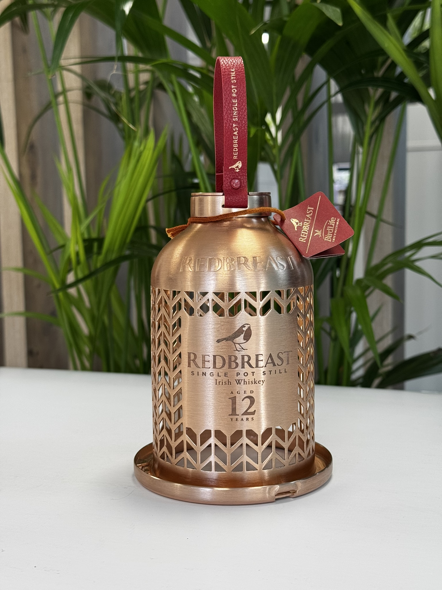 GPA Global Collection 3 Image 2